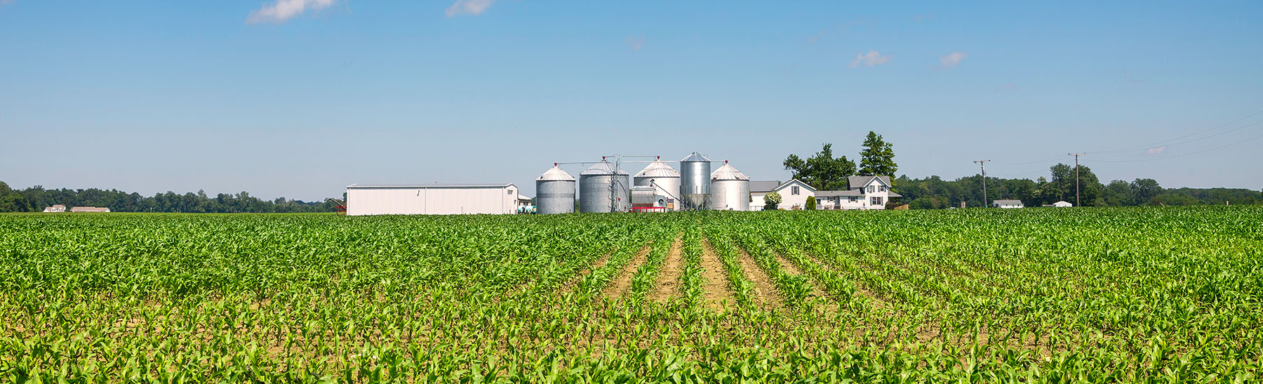 Farm Insurance at Donsbach Meinhart Effingham